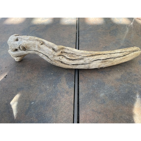Other - Natural Driftwood for Plants Terrarium Taxidermy Art Projects